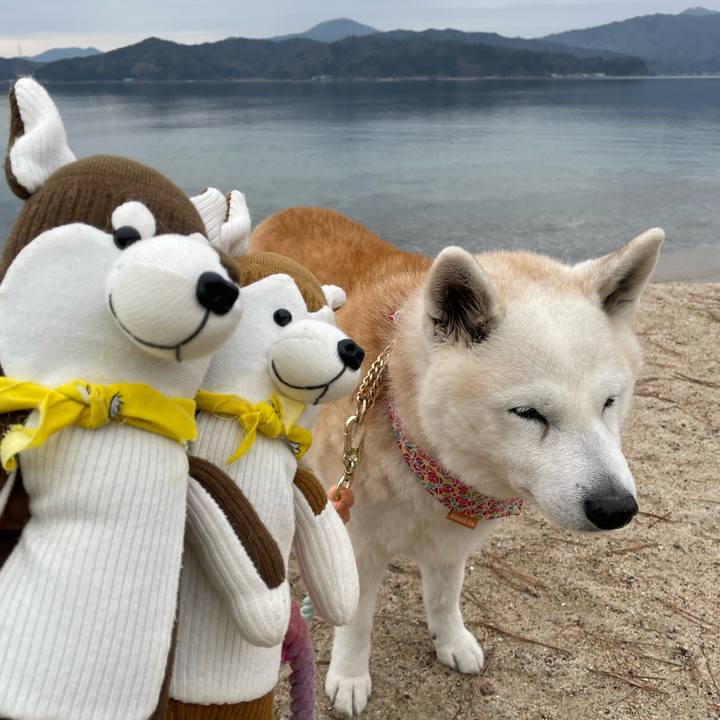 C08ecbc5 676b 4968 a86e 8ee84d82a8da 1676868127639