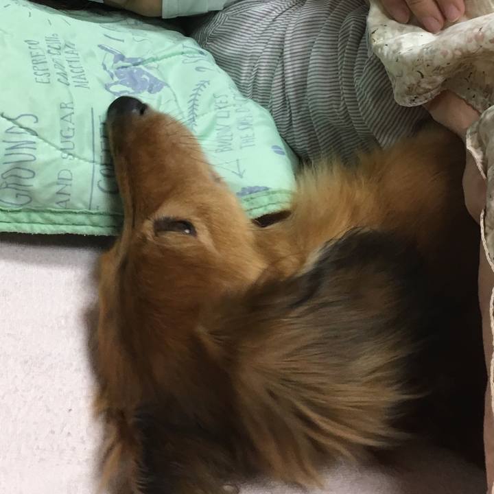 C08edbb7 aaf0 43a7 a9fe 88e161d853c0 1541343157878