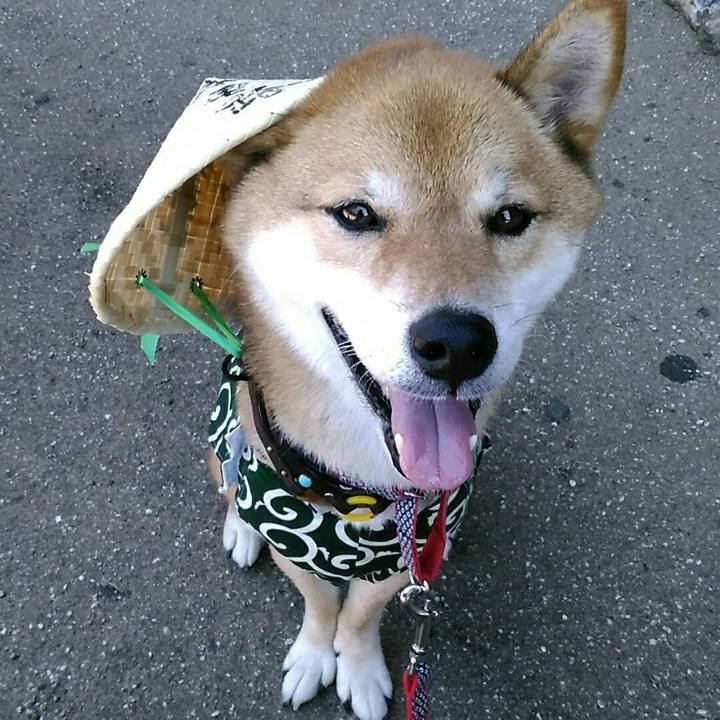 C08efc94 17d4 4772 a2b0 e3604716ecd2 1565267714002