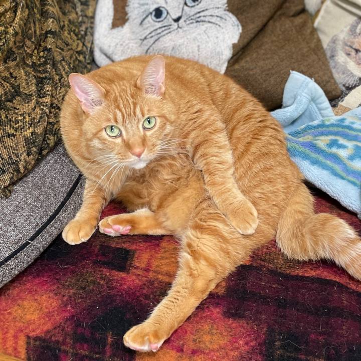 C08f0094 b393 44cd 983a 80768c1bfd1e 1713269169847