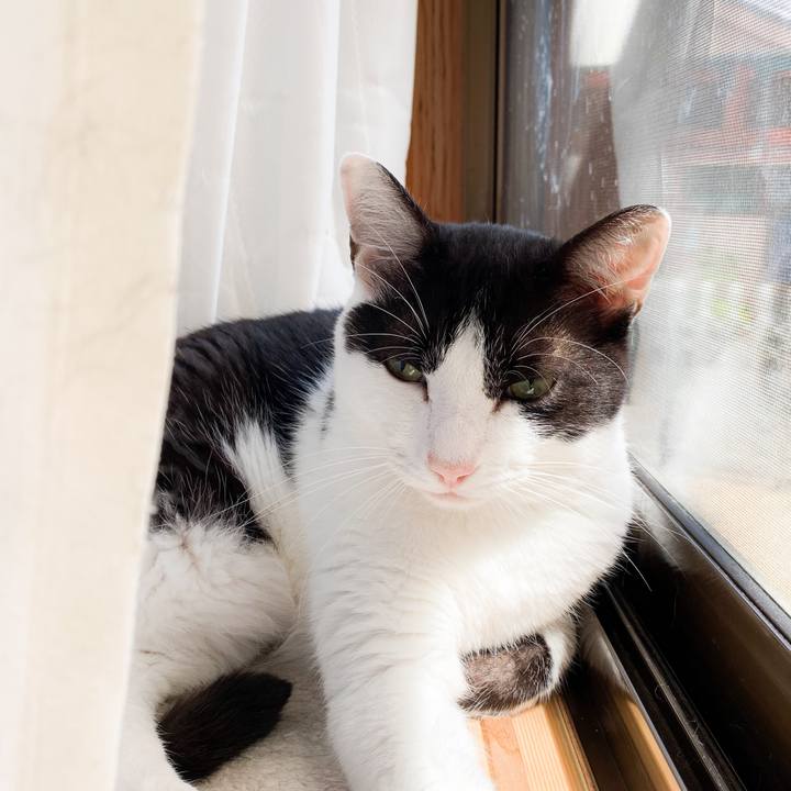 C08f0205 f087 4af1 8fab 110726585fa9 1569723689938