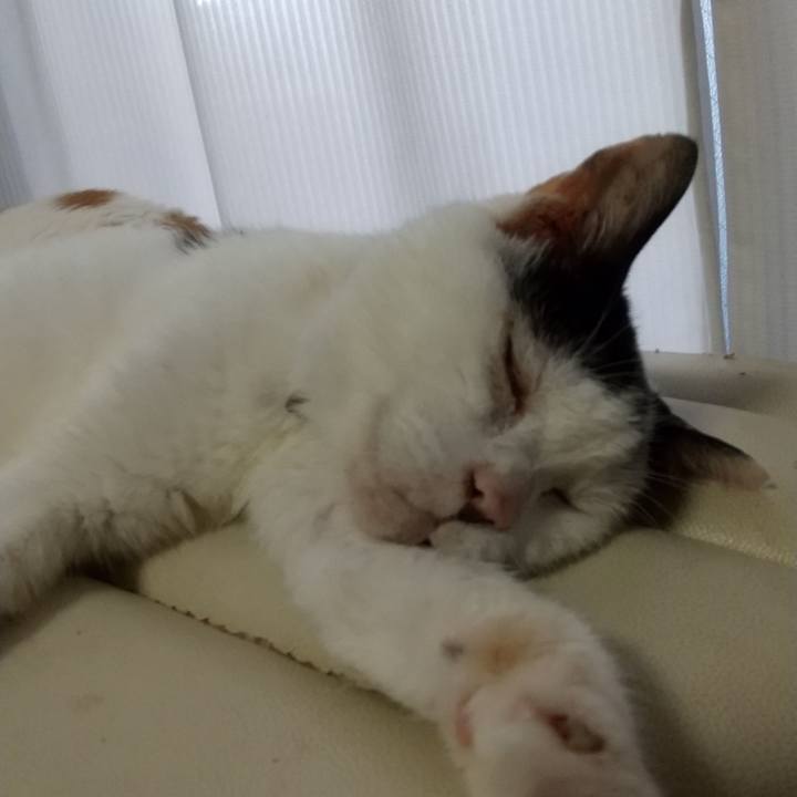 C08f7421 bc1c 45ab a1e2 a4a07e6607eb 1757488945265