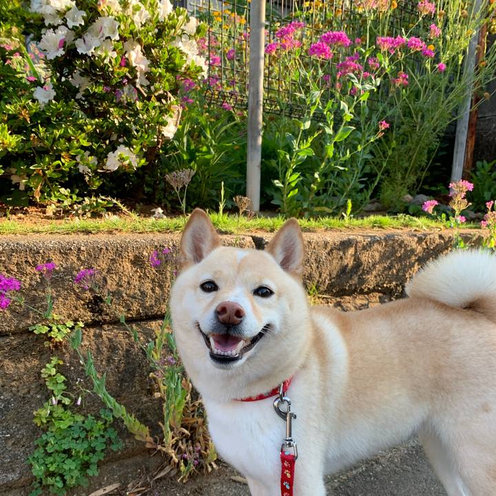 C08f8d5a 8b63 4140 abd0 a984f61b7496 1621894911093