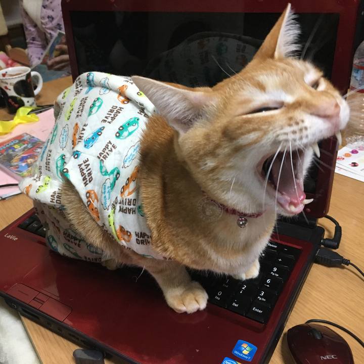 C08fa66e e9df 42ed 86de d61237675529 1514466967193