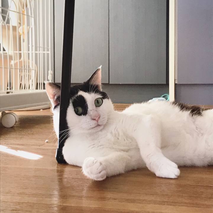 C08fc60a 4cdb 4b7c b3a3 9350278e292a 1559720341984