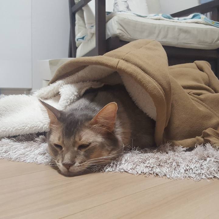 C08fe784 8bd5 4c68 aca7 09896aac894b 1577361064297