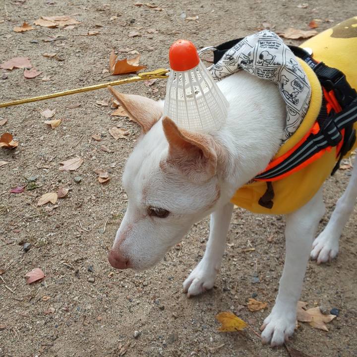 C08fedec b0e7 40c8 93cc 4ae05cf8f0d3 1747317489594