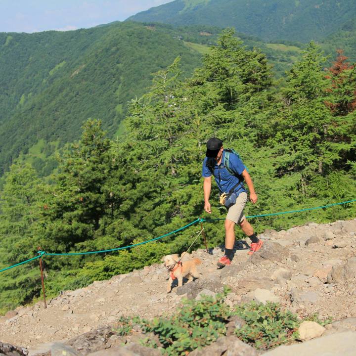 C08ff564 18d1 4968 8f9d 7587f59d24b8 1630484394176