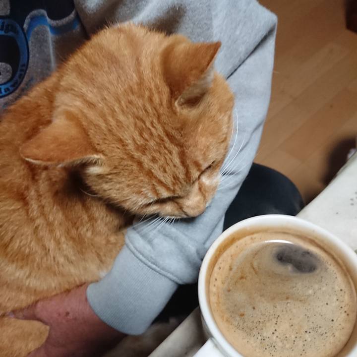 C0901938 8272 4aec b636 4a5699ea072e 1603050547661