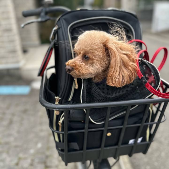 C0903ba6 9557 44af 921a cef8f740f626 1770346791921