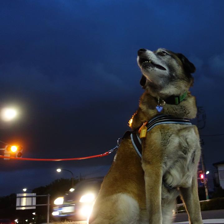 C09043b0 c6f5 479c 8138 56225fb1f217 1525959538802