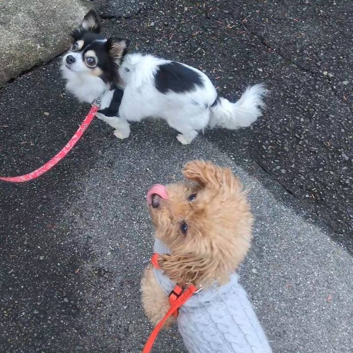 C09047d3 920f 4ce7 9bf8 2f4f95c85ad1 1766444390230