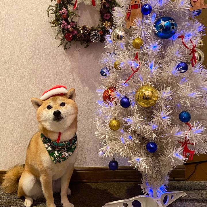 C0905523 d354 466f b279 73fd39754bee 1604310606960