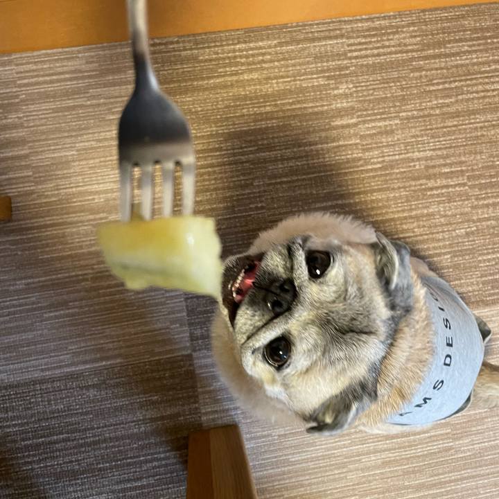 C0906634 3671 4540 ac9d 67cc4223746d 1689459055514
