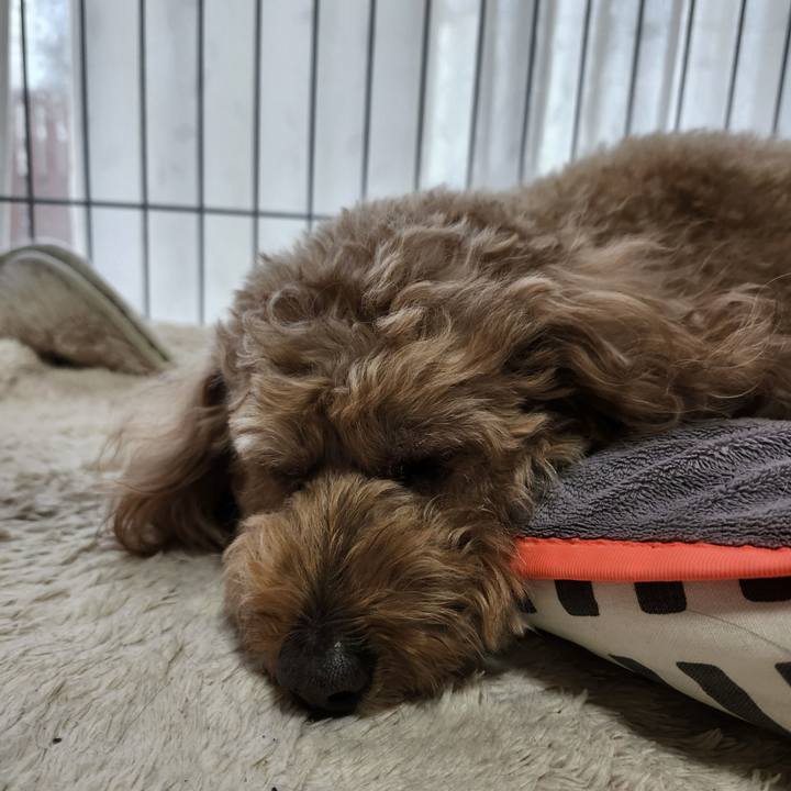 C0907348 469f 4c1a a3d6 a0d33de403ab 1768778427449