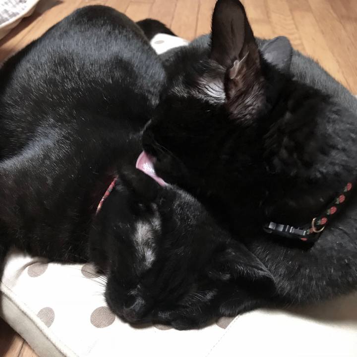 C0908e9b 6195 42ce bc79 31a88e8ea7b5 1540300570698