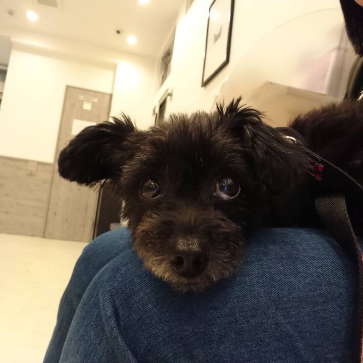 C090bd3a 096c 4cc1 b5d5 229c0be1cbc3 1532349446506