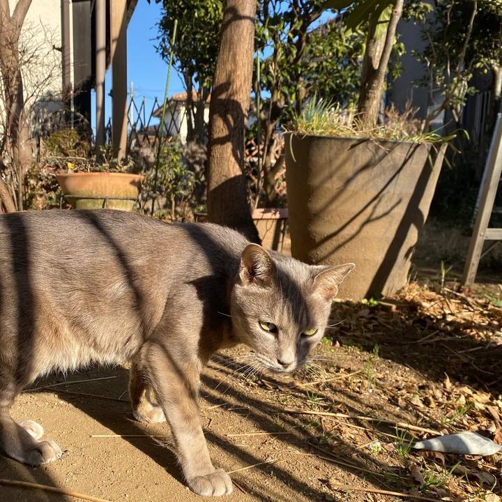 C090be3c 8b0c 48ee 82d2 fdb0c451058e 1643349623375