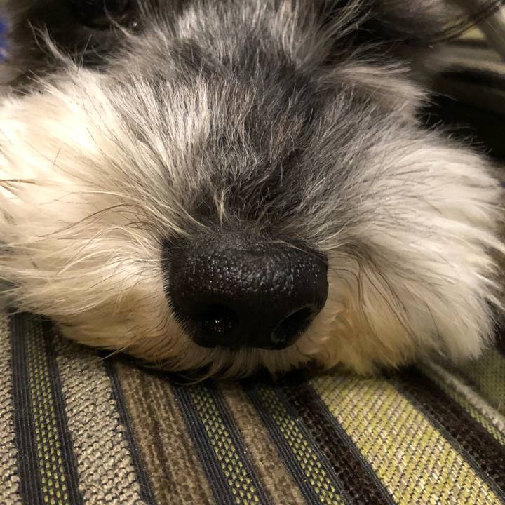 C090d6ff 8c24 4755 8c71 6f73bf26d2d1 1523623698933