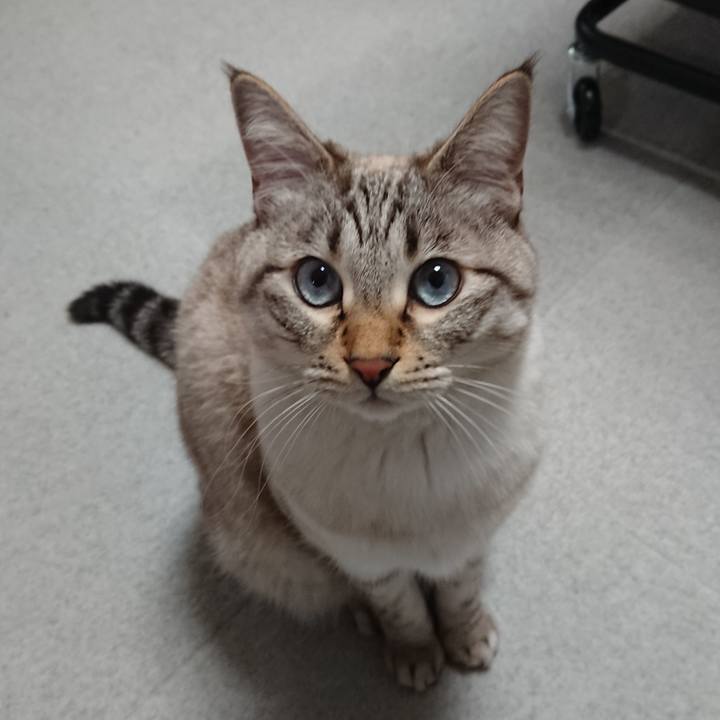 C090fcd9 42ef 4c2e b2a6 a42f8e8b20bd 1549290148189