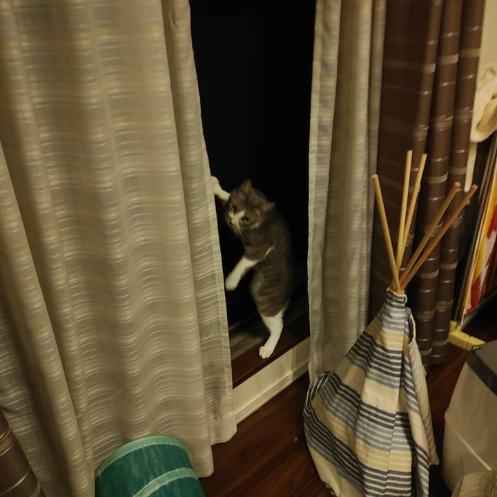 C091049a 2899 46b4 a611 338da4bdae11 1594910543366