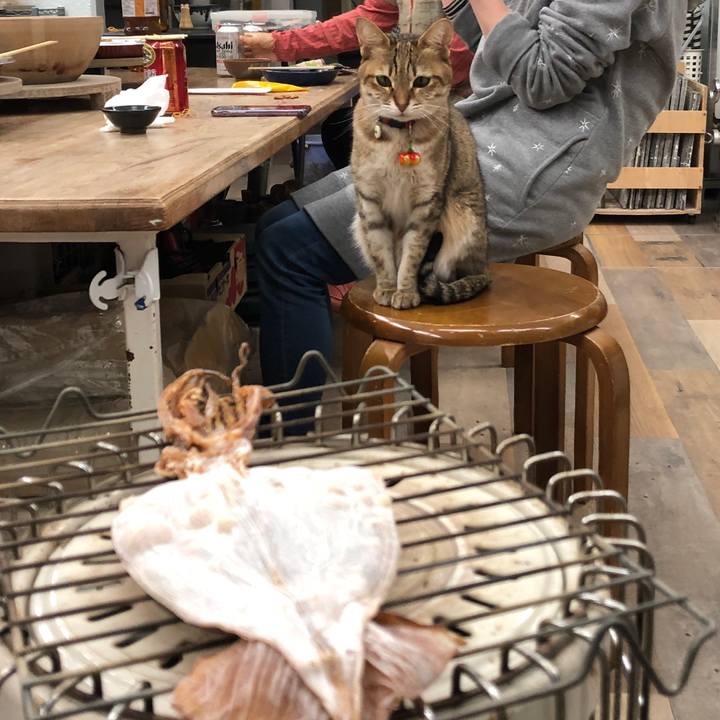 C0911302 485b 4cf6 bdc8 14ee8c16ca8a 1670125835314