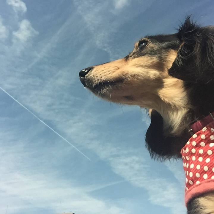 C0913a41 34eb 4315 8040 e76d4ffef1a3 1534636213750