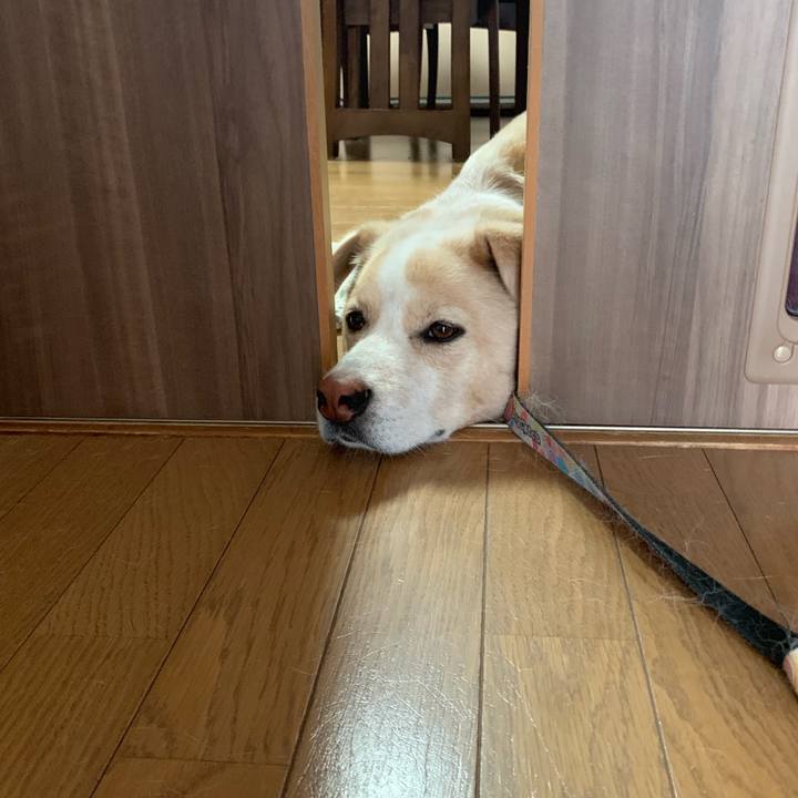 C0915b29 d79b 417b afbe a9d893ed805b 1562797121283