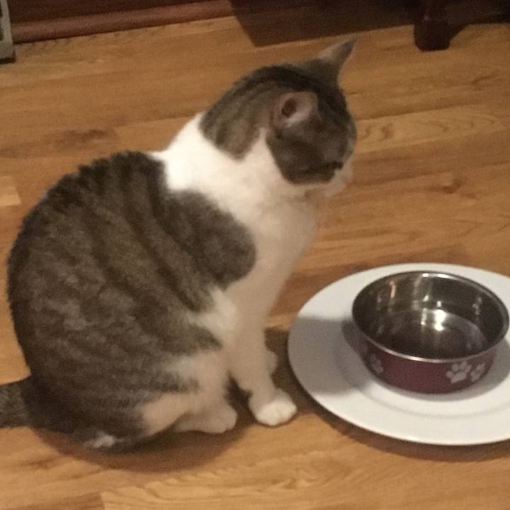 C0915b42 bb3f 41cf 8c7c 13e08a1d702e 1618624242388