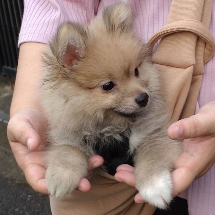 C0919d1d ba3c 4a7c 9de3 0db1e3c544c5 1721479356214