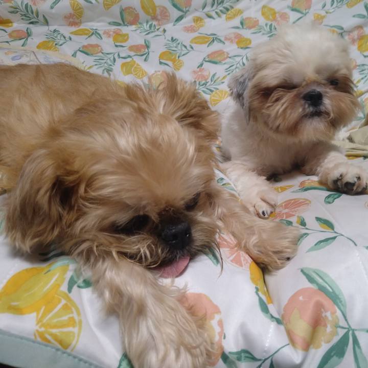 C091af30 9954 48fa a8ea fcf32a55098a 1598927025361