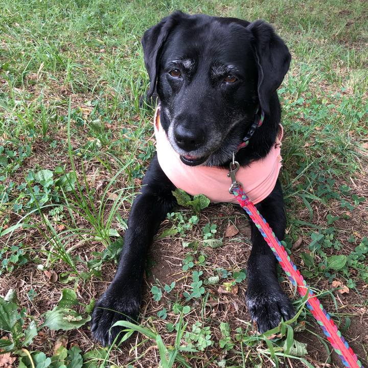 C091e7bf 9872 403f b4b6 9d79db33eb91 1598143657183