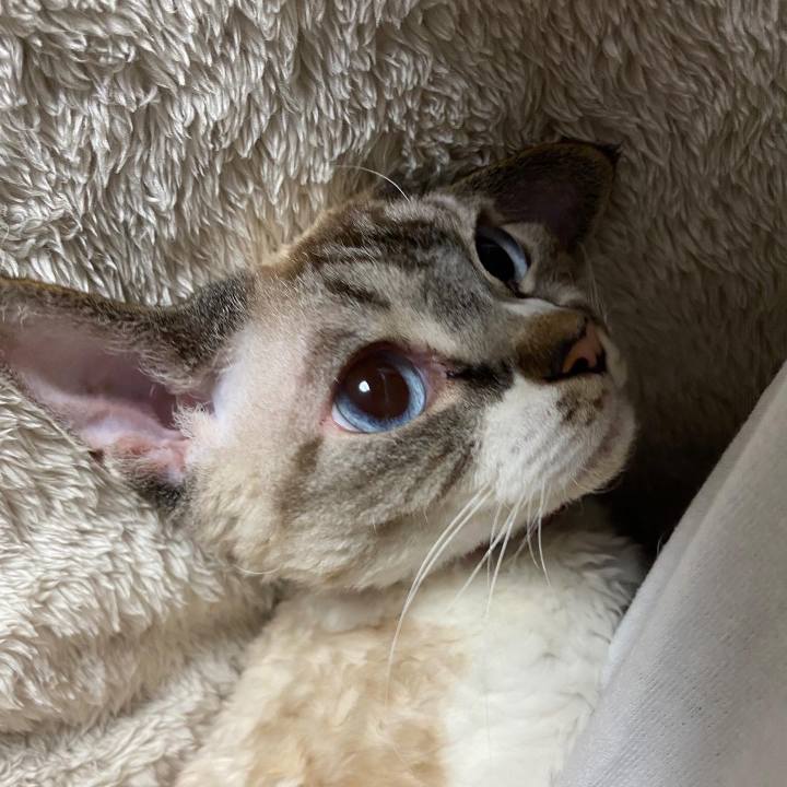 C092201c 5299 4578 ac18 3d200dc8ba43 1669838699688