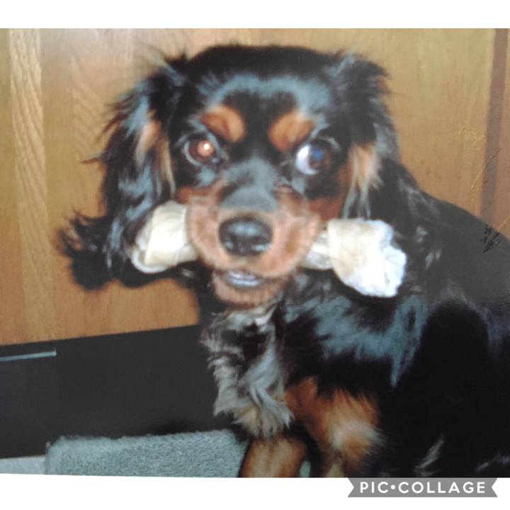 C09220cb 941d 45d5 bfd3 9f54460dd665 1601385144742