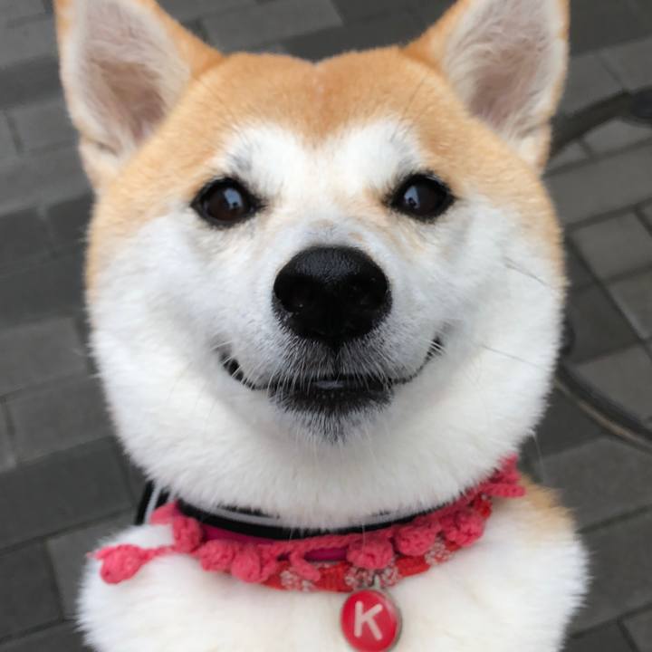 C0922e4e 3d25 482a a345 b6d6da87e8b5 1536379894404