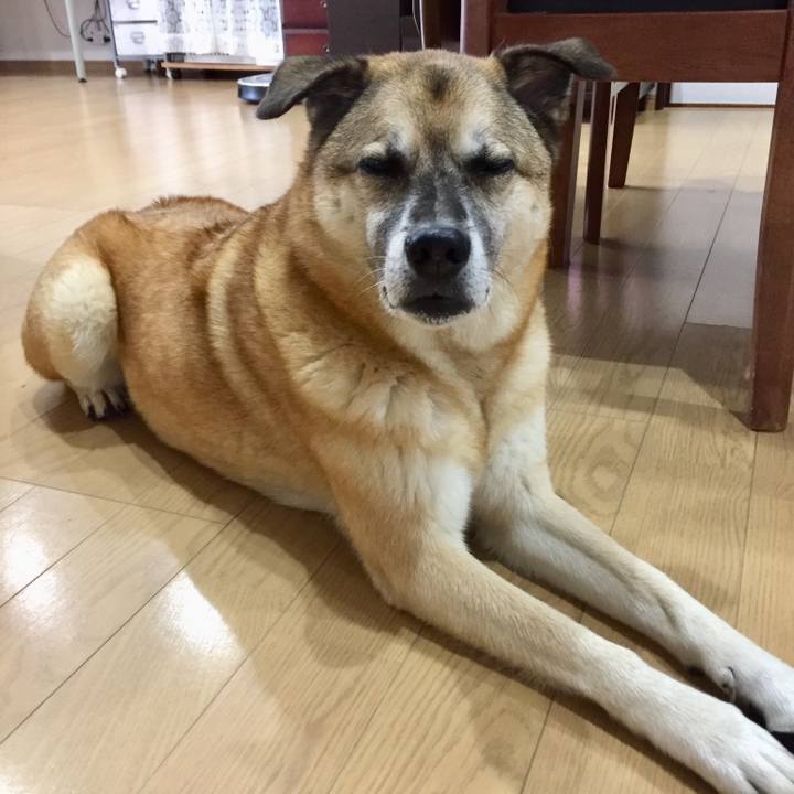 C0924cb2 860a 44a0 87c6 f1b2b41b3168 1539385480367