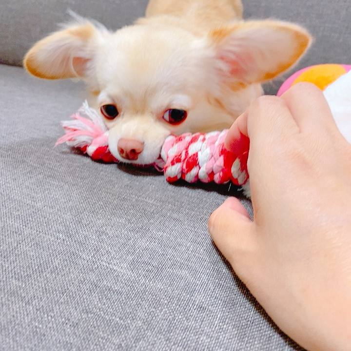 C0926bf8 4388 48ed 8701 11e0585c3da4 1633655043059