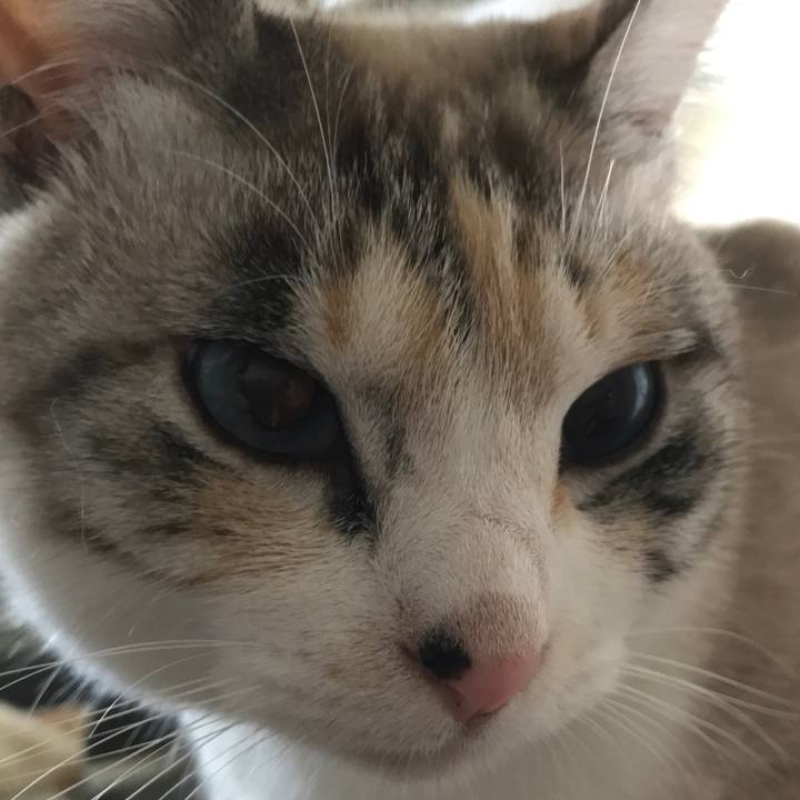 C09288b2 9a06 436f 893b bb376c43980f 1516851398285