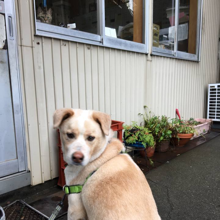 C092ea2a ff78 434d 84a5 15776bc30795 1528333910187