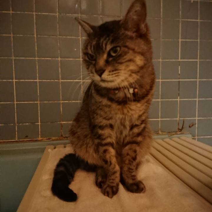 C092fe32 9f7d 4163 8c63 e9ae7c6e27e7 1582191891660