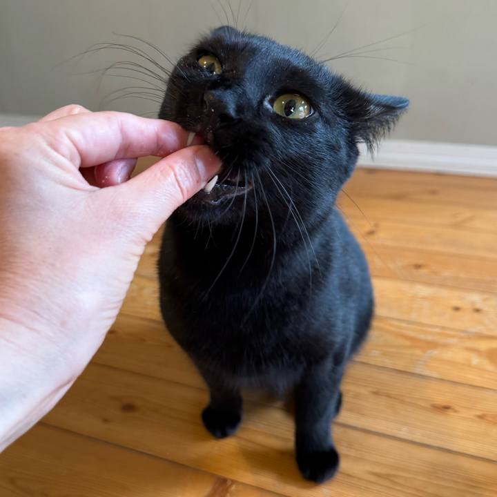 C093313c 99e3 4b4e b52c a15437f6399e 1774349297172