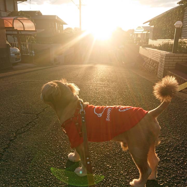 C09362c0 a69f 4d98 a940 f0230be70389 1606778810194