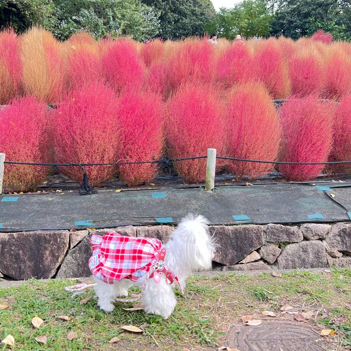 C09380d3 3ceb 4564 a1c4 a1ff81e713c5 1761278302811