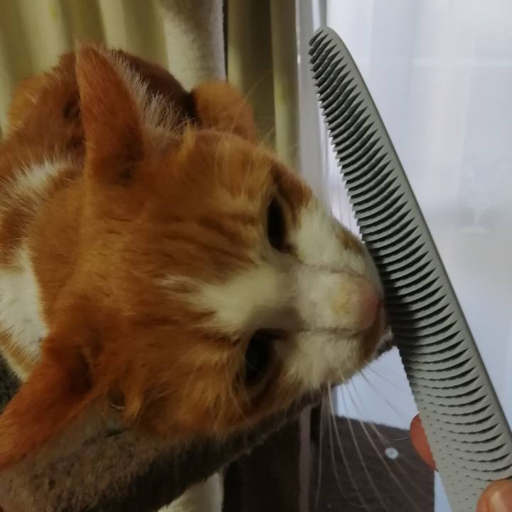 C093b92f 8878 4db5 8c19 7937b4543e30 1610662833604