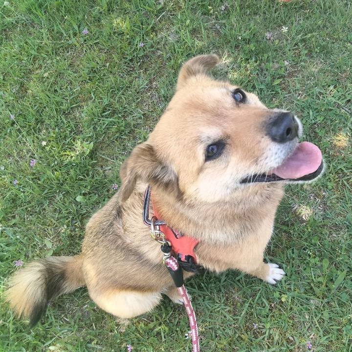 C093c2d2 38e2 4c9a 9159 ad7c196158bc 1665754124753