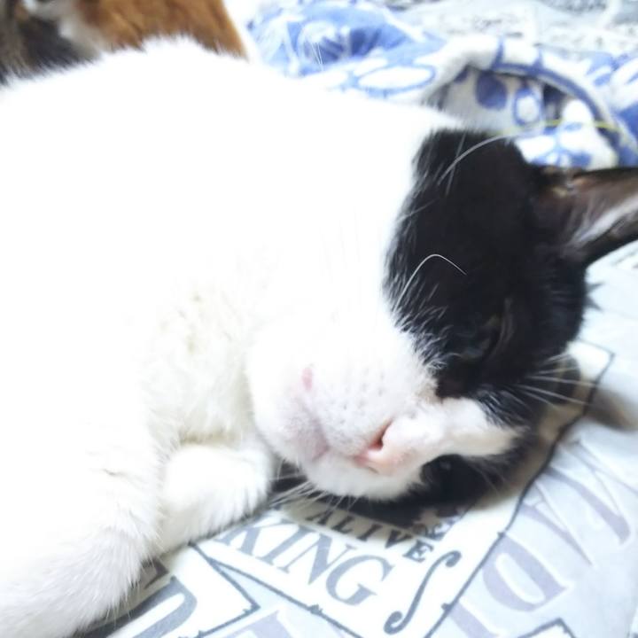 C093dac6 1ffd 4da2 90d8 e7de39c5585f 1569108258857