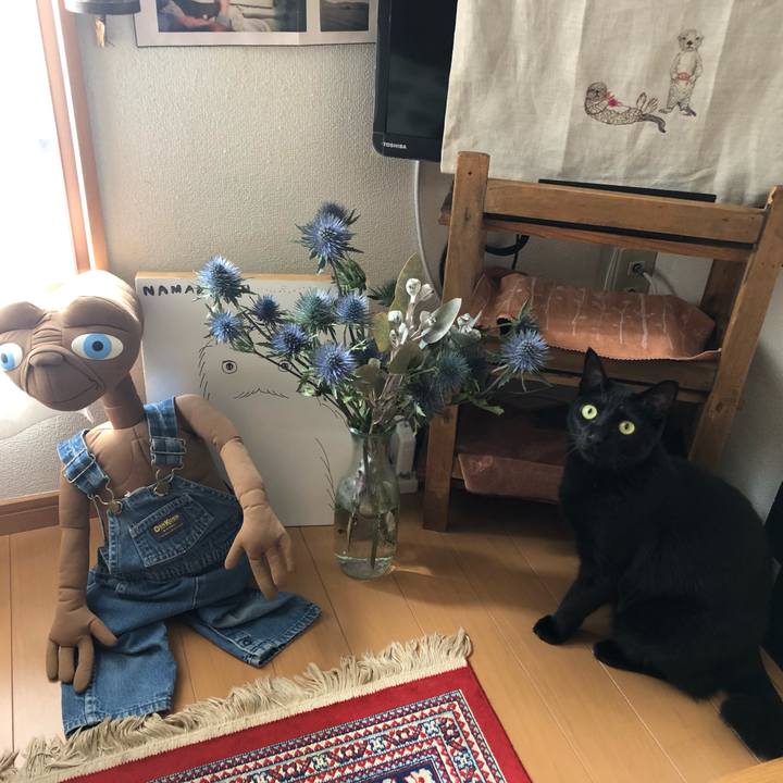 C093e166 3068 456a 9594 fdf4d7b80a78 1556334297494