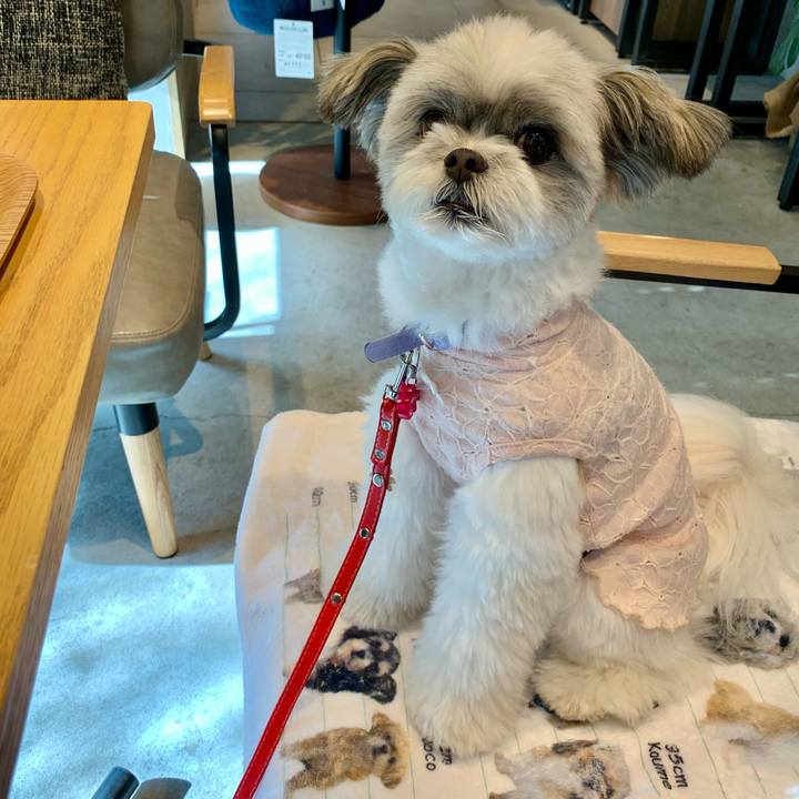 C093eebb 6d2f 4d8e a59a 890db12d16e8 1632822947277