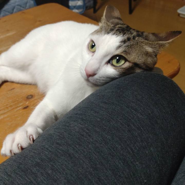 C093fb9f 4e56 42af 9641 a082788e46d0 1682932602267