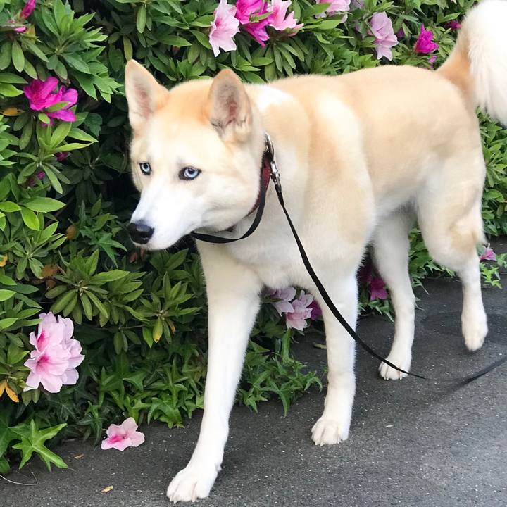 C0943229 de72 4ce5 80f6 01b77960fe60 1523407986791